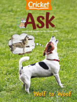 Ask 02.2024.pdf